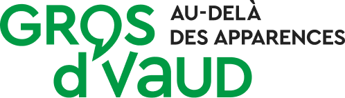 Gros de Vaud